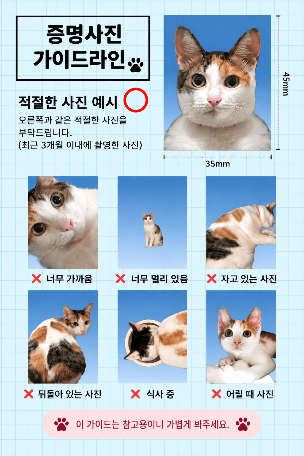 하무야 증명사진 가이드라인