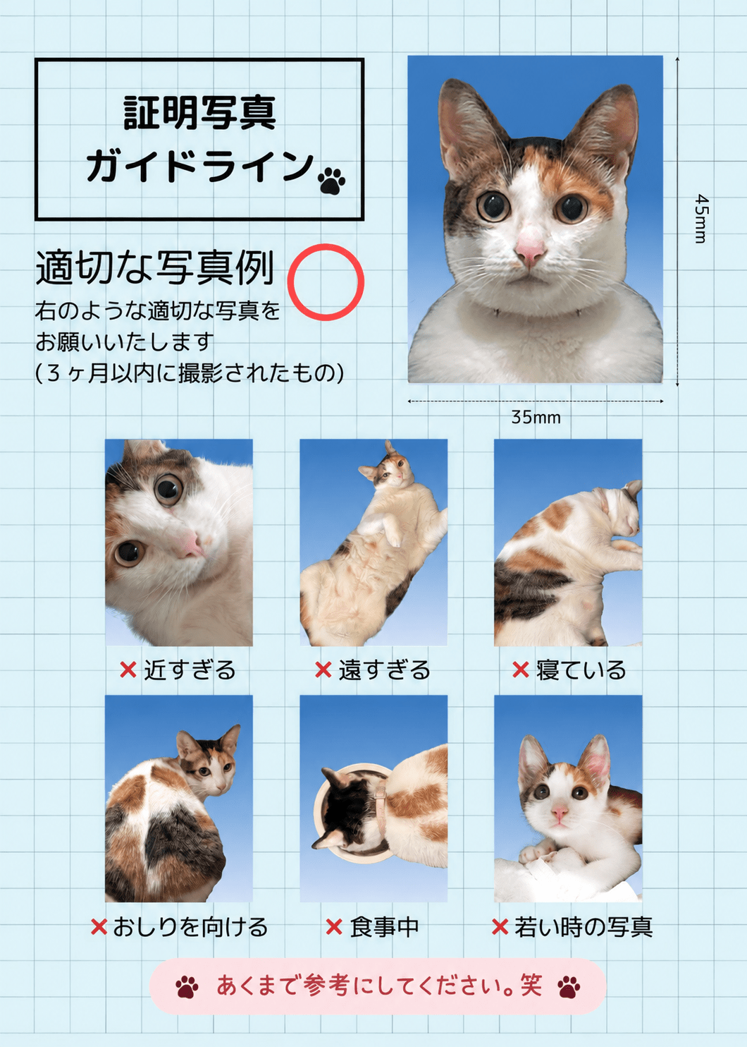 証明写真ガイドライン